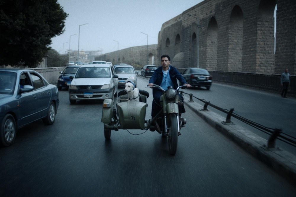 Սաուդյան Արաբիան այժմ Եգիպտոսի կինոարդյունաբերության հիմնական արտահանման շուկան է, ասվում է Report-ում