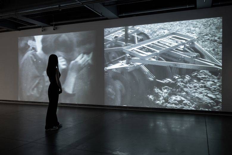 Մութ աշխարհ. Անատոլիայի ստվերները և Աշըք Վեյսելի ժառանգությունը