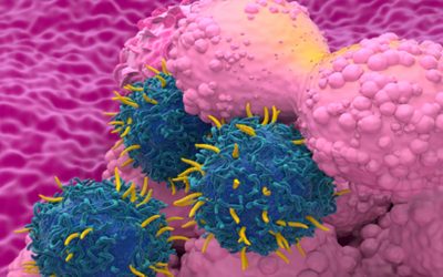 Նորարար ռազմավարություն կրծքագեղձի քաղցկեղի ամենատարածված տեսակների դեմ