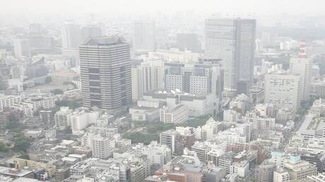 Գիտնականներ. Վիտամին C-ն պաշտպանում է թոքերը օդի աղտոտվածությունից