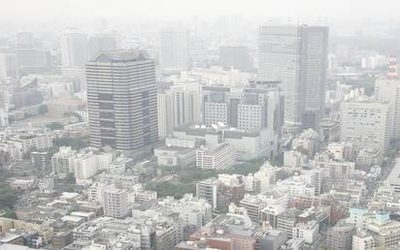 Գիտնականներ. Վիտամին C-ն պաշտպանում է թոքերը օդի աղտոտվածությունից