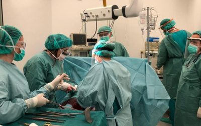 «ԲիՀ-ում գրեթե բոլոր առողջապահական աշխատողները ենթարկվել են աշխատավայրում բռնության ինչ-որ ձևի»