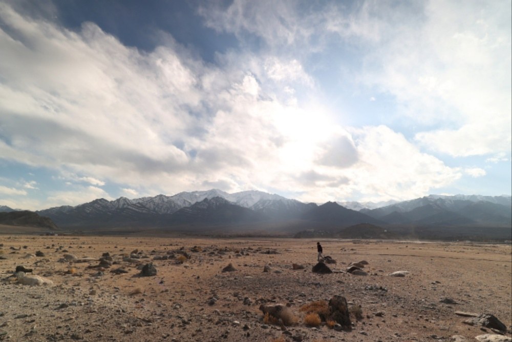 «Wolf Dog» ֆրանսիացի պրոդյուսերների խորհուրդը WAVES Film Bazaar Ladakhi Project «Idiot»