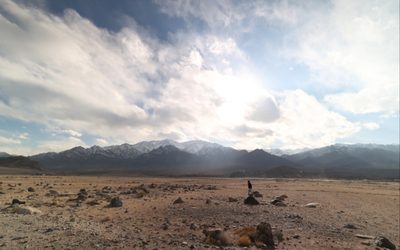 «Wolf Dog» ֆրանսիացի պրոդյուսերների խորհուրդը WAVES Film Bazaar Ladakhi Project «Idiot»